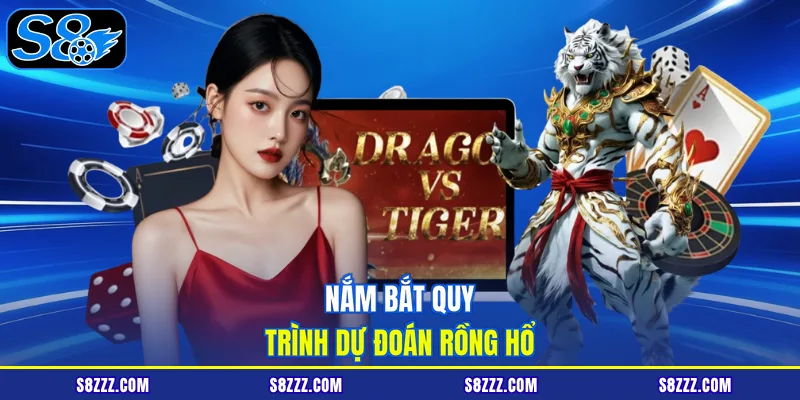 Nắm bắt quy trình dự đoán rồng hổ