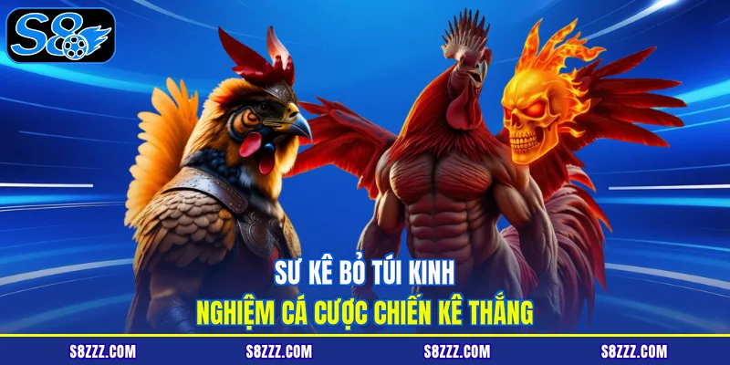 Sư kê bỏ túi kinh nghiệm cá cược chiến kê thắng